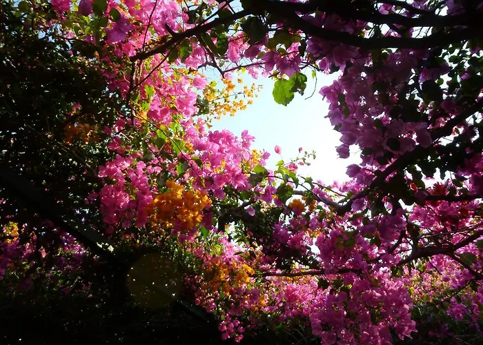 Hotel Nefeli Myrties